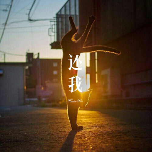还我