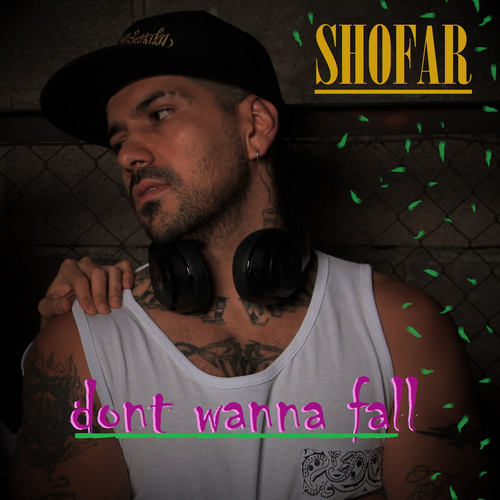 Dont Wanna Fall