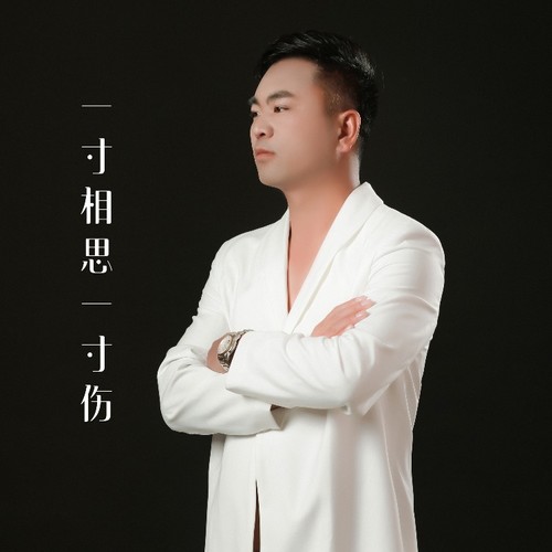 一寸相思一寸伤