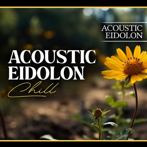 Acoustic Eidolon Chill