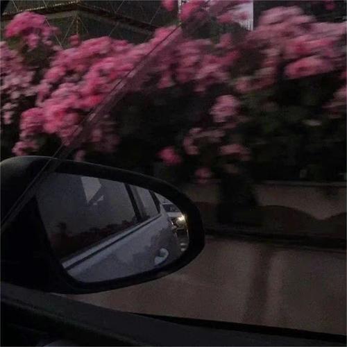 无畏的冒险 (Remix)