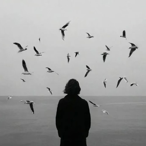 抖音歌曲最火的歌2026-YZX