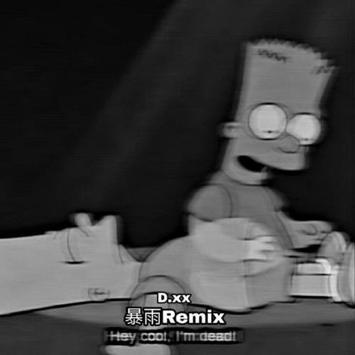 暴雨Remix