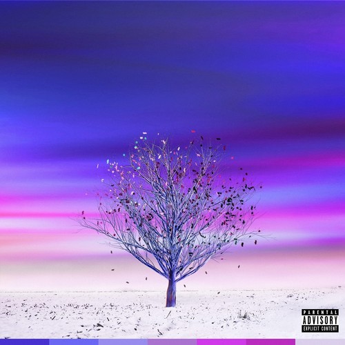 Fall in Place (Explicit)