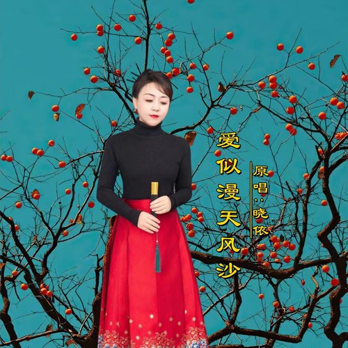 爱似漫天风沙DJ(女版)