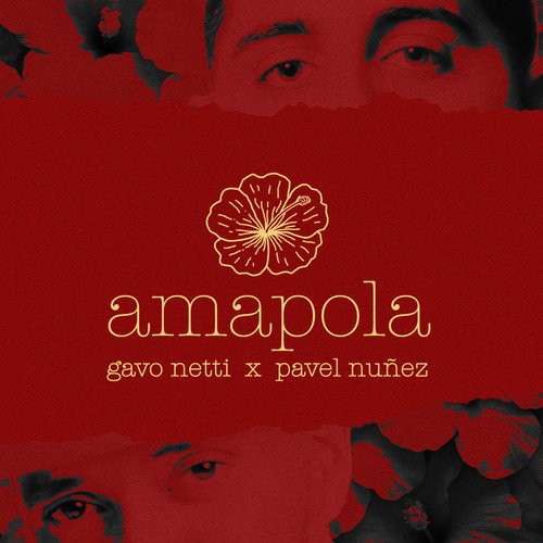 Amapola