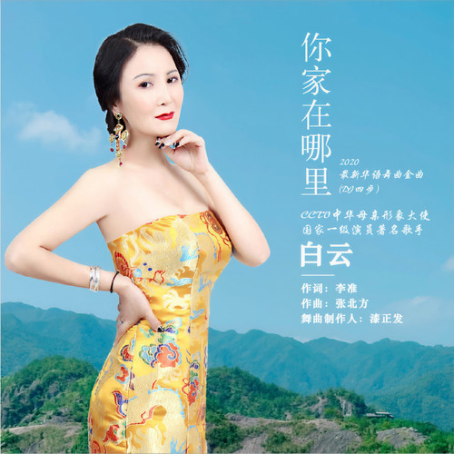 你家在哪里（DJ四步版)