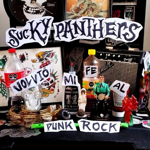 Volvió mi fé al punk rock