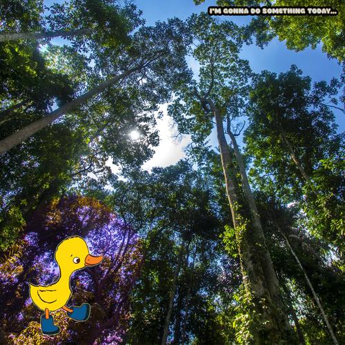 I'm gonna do something today... (Explicit)