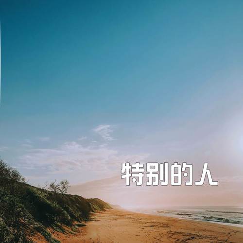 特别的人 (1.1x)