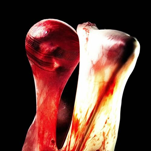 Reala (Instrumental)