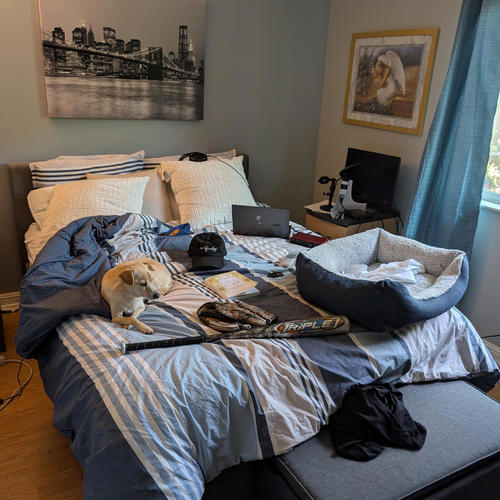 Triple x 2 (Explicit)