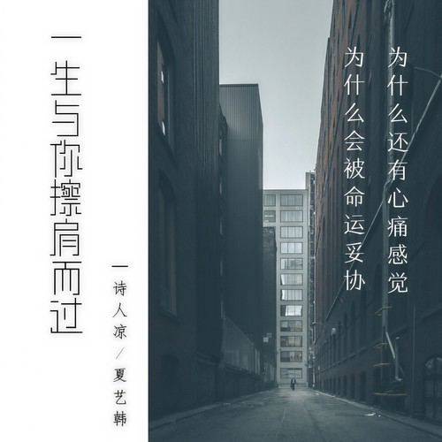 一生与你擦肩而过