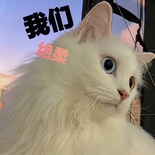我们