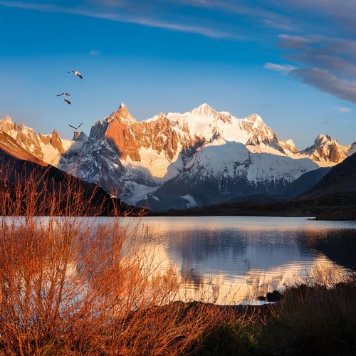 Momentos Suaves: Música Para La Comodidad Diaria