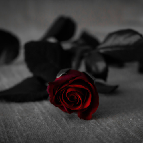 Let You Break My Heart Again - Piano Version