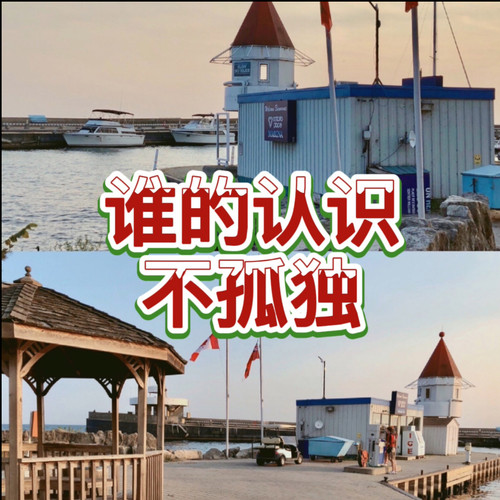 谁的认识不孤独