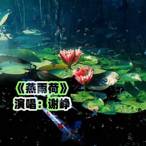 燕雨荷