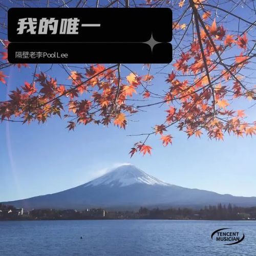 我的唯一