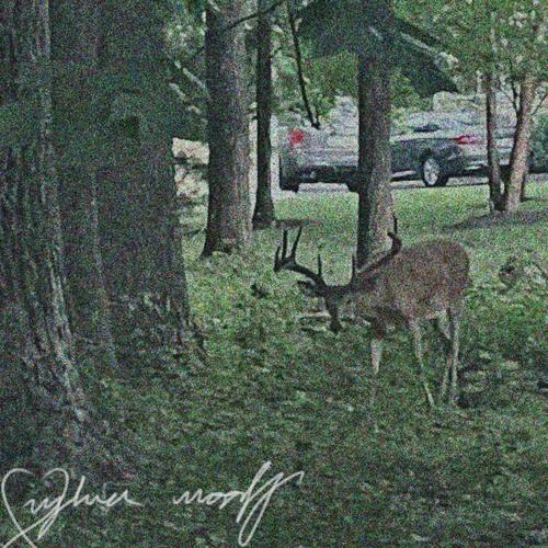 passerine (feat. saoirse dream) [Explicit]