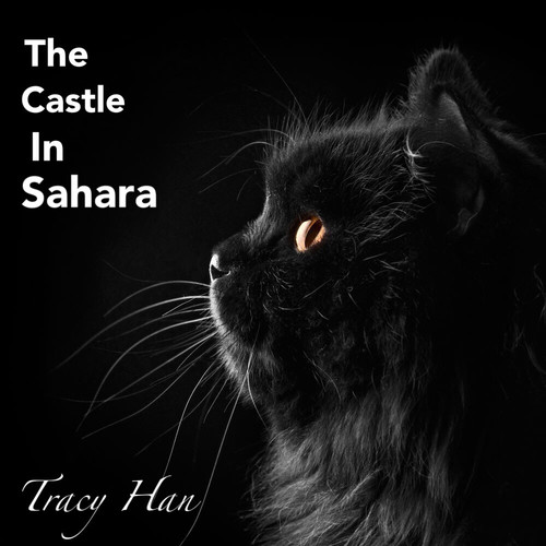 The Castle In Sahara