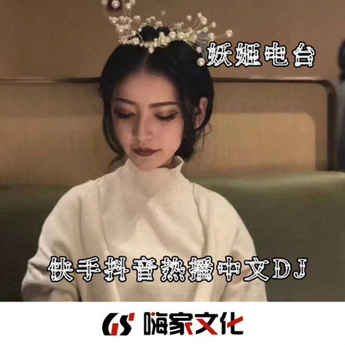 快手抖音热播中文DJ
