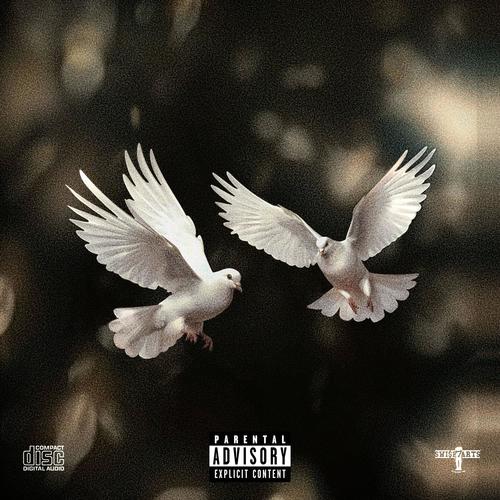 2 Birds (feat. W_rd) [Explicit]
