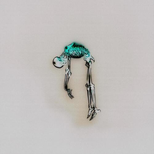 Speak Too Soon (Explicit)