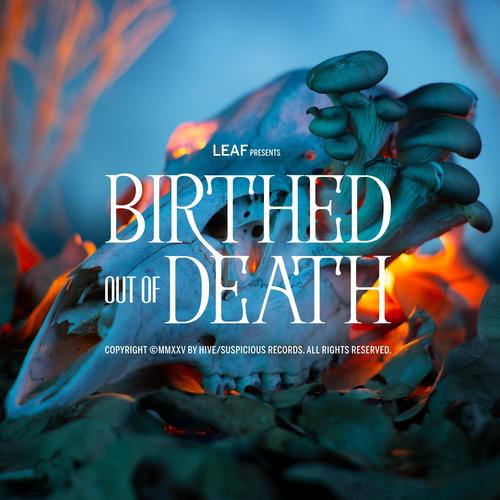 Birthed Out of Death