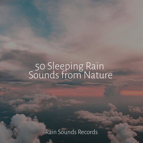 50 Sleeping Rain Sounds from Nature