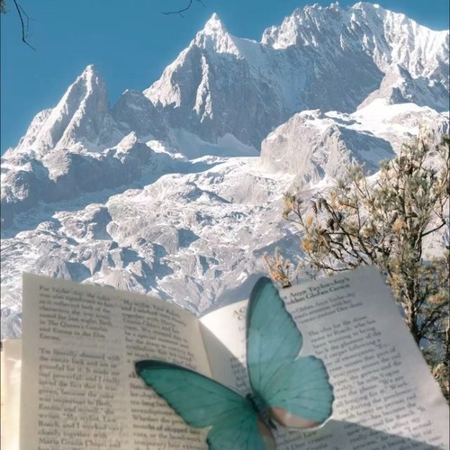 阿里山的姑娘（FUNK）