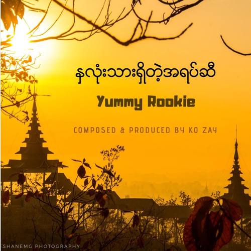 Nha Lone Thar Shi Tae A Yat Si