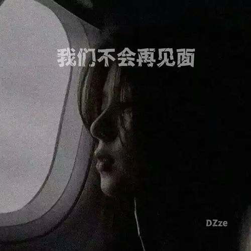 我们不会再见面