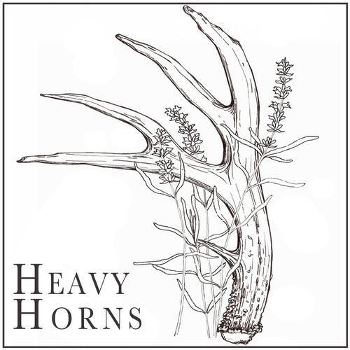 Heavy Horns