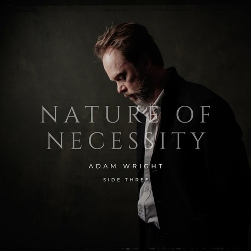 Nature Of Necessity: SIDE THREE (Explicit)