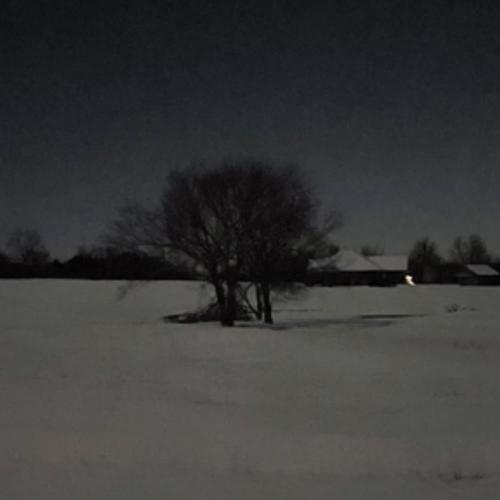 loser <3 ivri cover (Explicit)