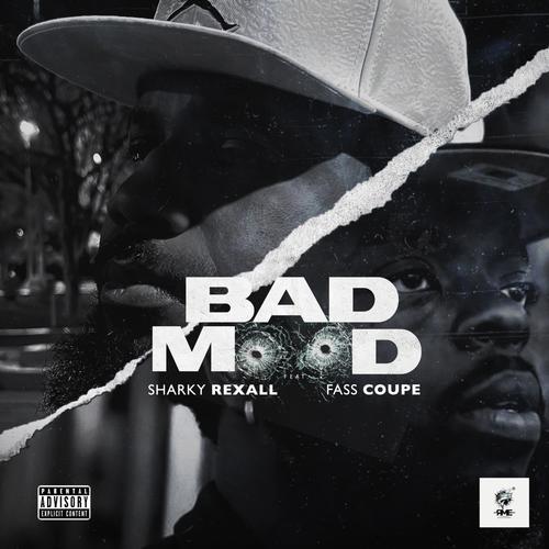 Bad Mood (feat. FassCoupe) [Explicit]