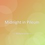 Midnight in Pileum