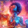 Funk Parade