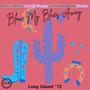 Blow My Blues Away (Live Long Island '72)