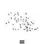 **** IS FOR THE BIRDS (Explicit)