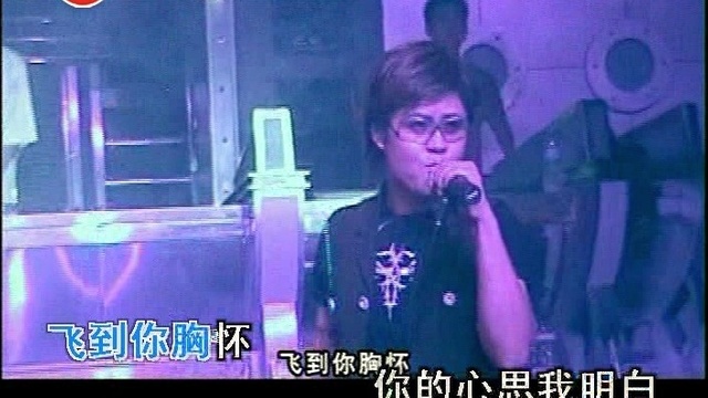 张振宇 - 爱上你这样的女人 (KTV版)
