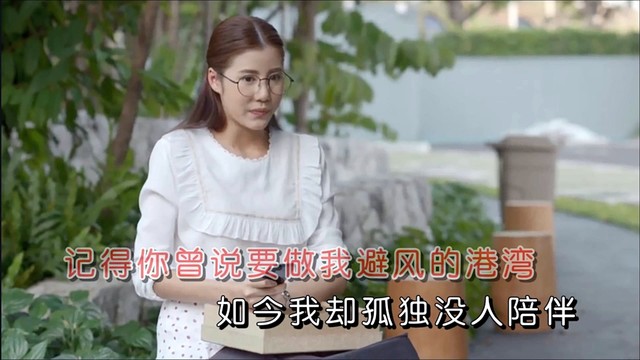 付海燕 - 想你的时候不知道怎么办 (KTV版)