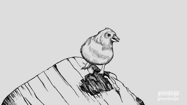 그린베이지 - BEIGE (Live)