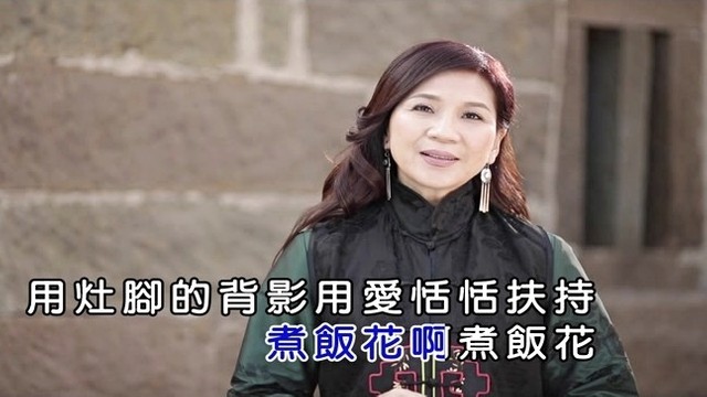月绮小百合 - 美丽的煮饭花 (KTV版)