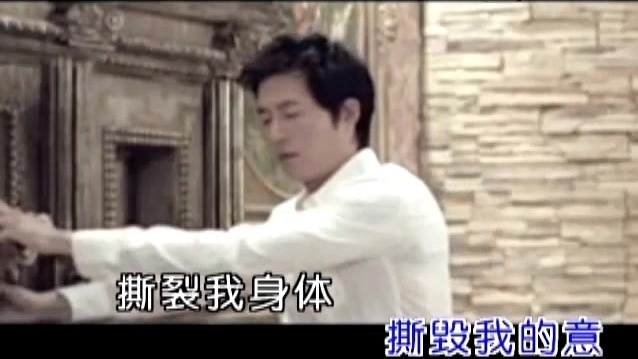 雨宗林 - 风中的遗憾 (KTV版)