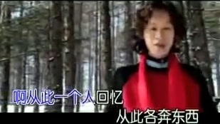 谢军 - 碎心石 (KTV版)