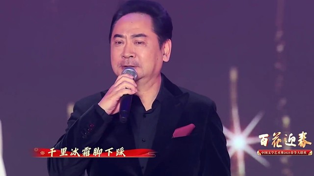 刘劲 - 红梅赞 (Live) (2025百花迎春文联春晚)
