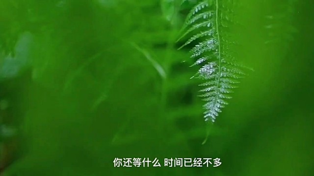 七元 - 恋人未满