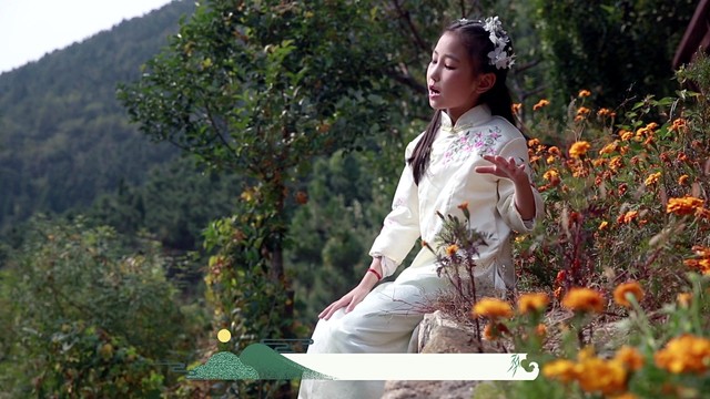 王许一诺 - 鹿柴